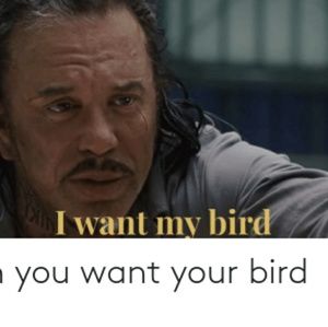 Meet your Posher, Terrence